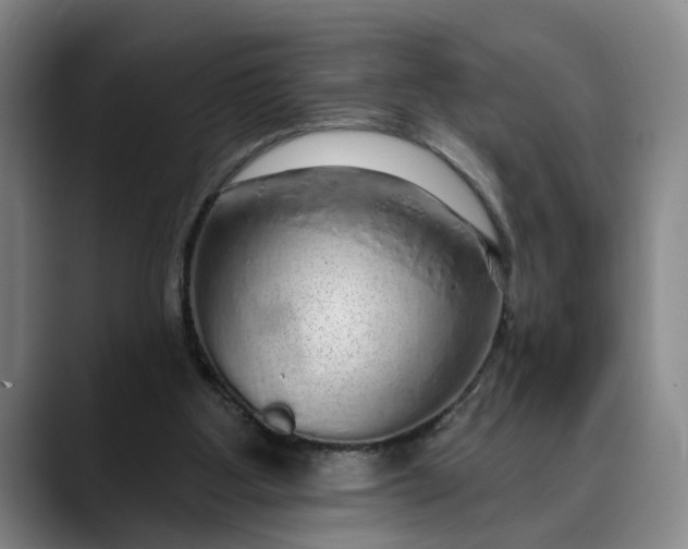 X0000088670107200706141343