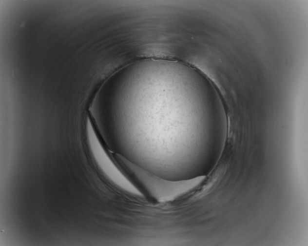 X0000088670109200706141343