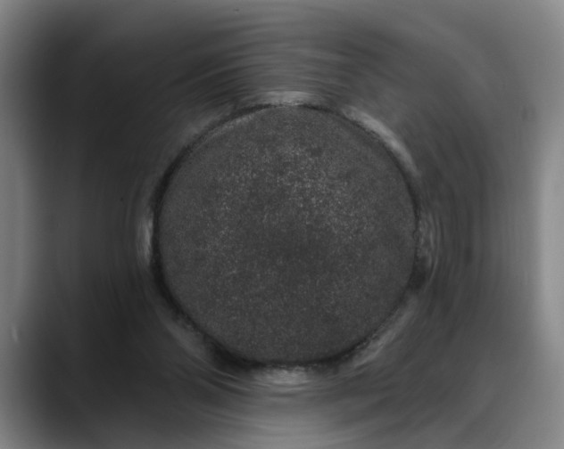 X0000088670110200706141343
