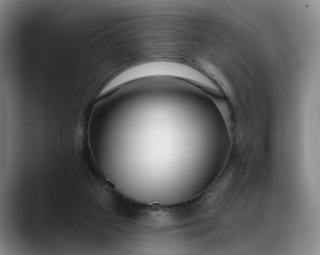 X0000088670113200706141343