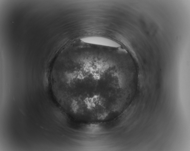 X0000088670114200706141343