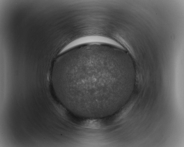 X0000088670117200706141343