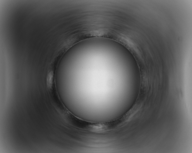 X0000088670118200706141343