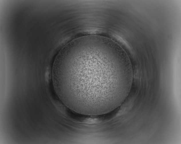 X0000088670119200706141343