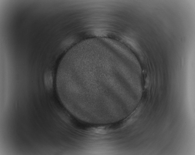 X0000088670120200706141343