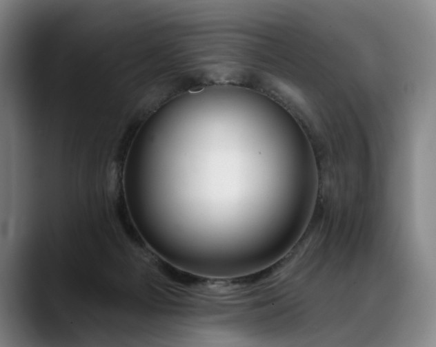 X0000088670121200706141343