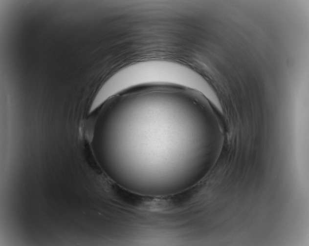X0000088670125200706141343