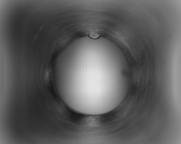 X0000088670126200706141343