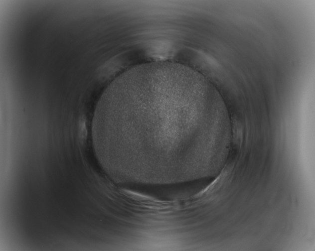 X0000088670128200706141343
