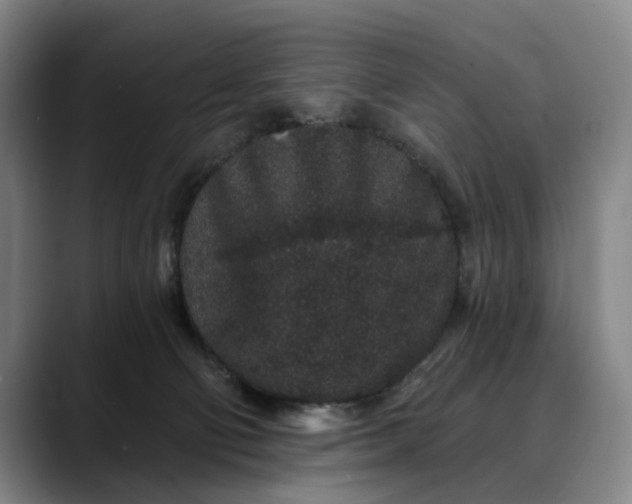X0000088670130200706141343