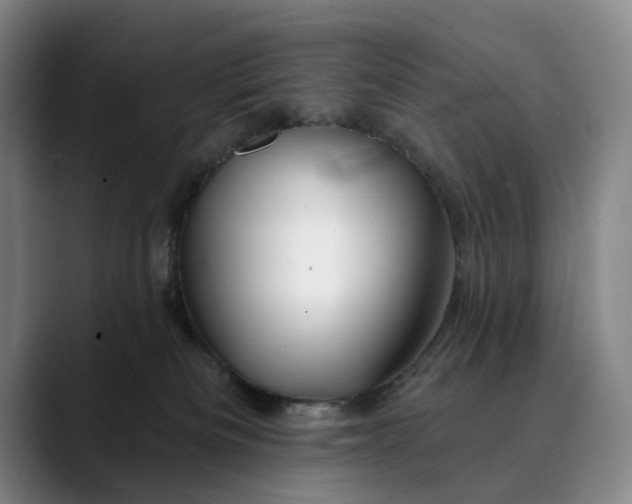 X0000088670133200706141343
