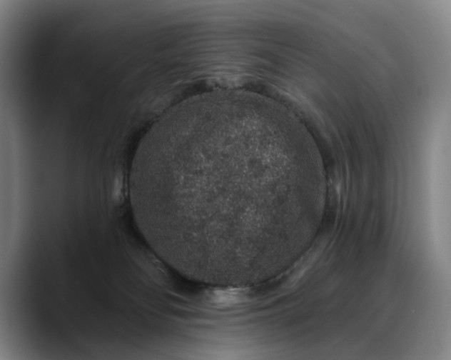 X0000088670134200706141343