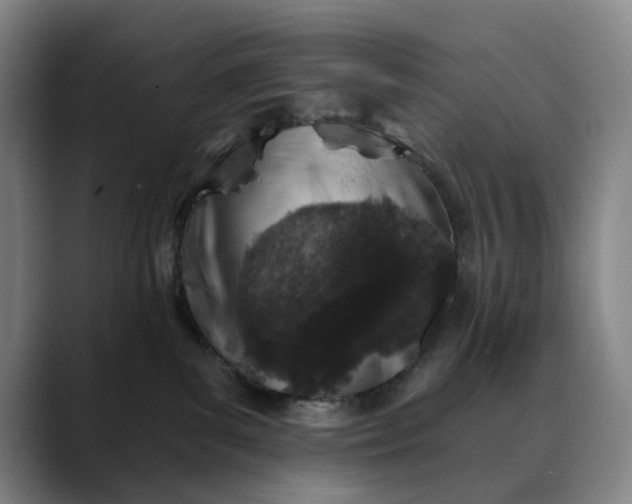 X0000088670139200706141343