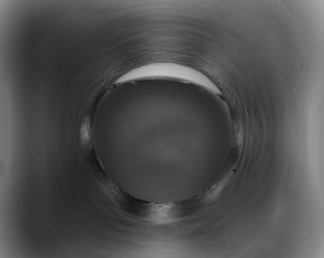 X0000088670143200706141343