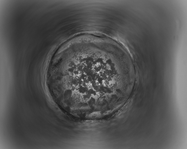 X0000088670145200706141342