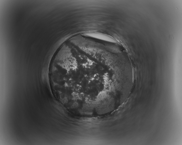 X0000088670147200706141342