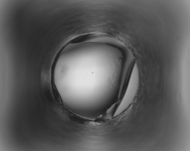 X0000088670148200706141342