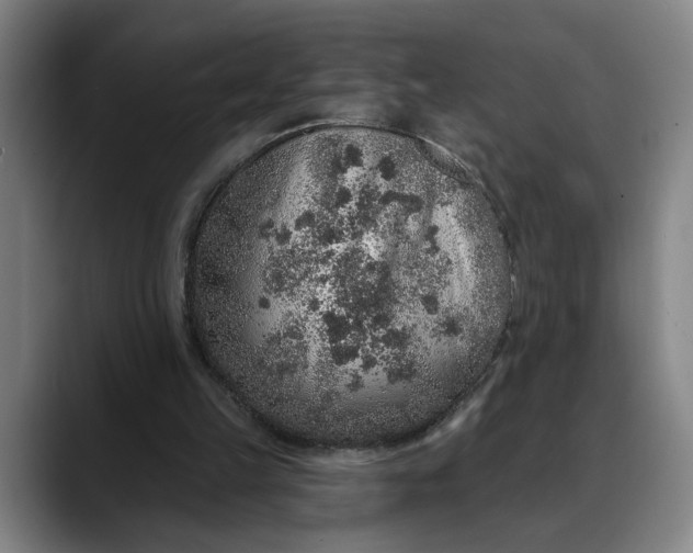 X0000088670149200706141342