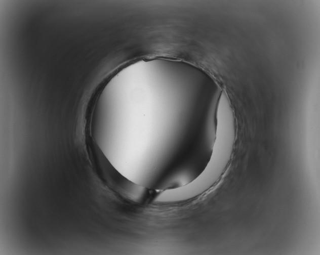 X0000088670150200706141342
