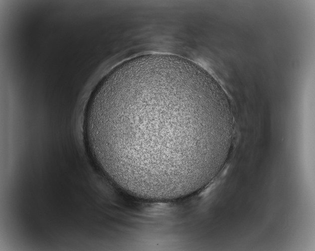 X0000088670151200706141342