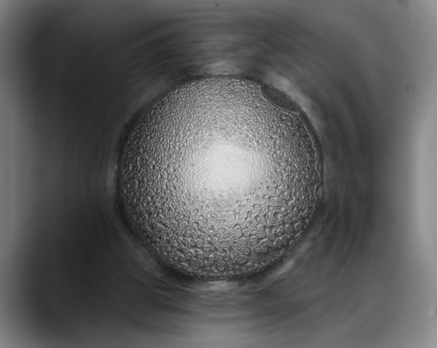 X0000088670153200706141342