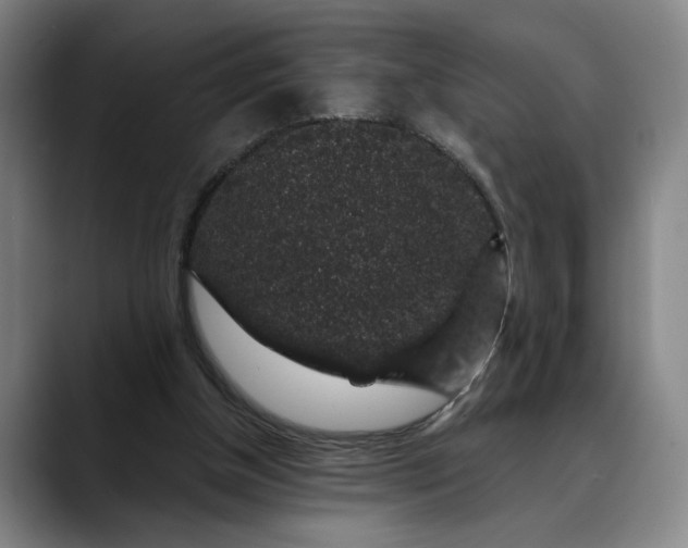 X0000088670154200706141342