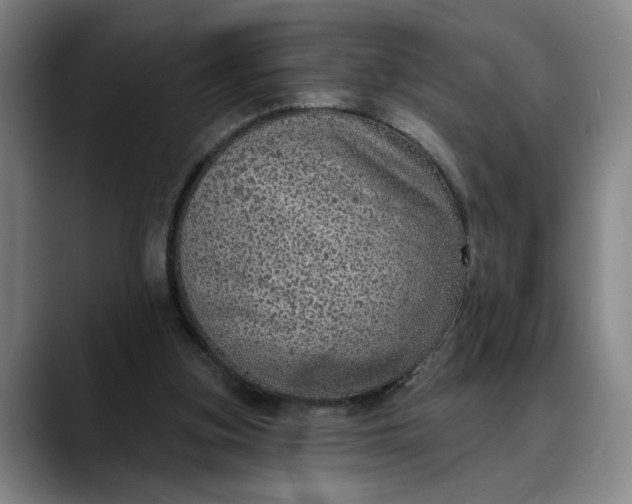 X0000088670155200706141342