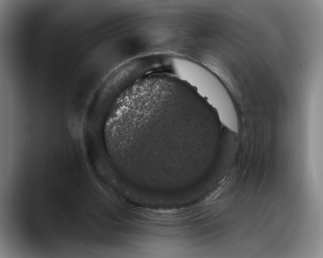 X0000088670156200706141342