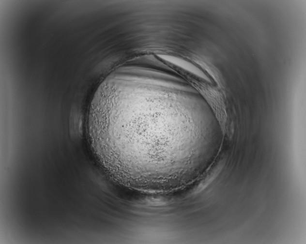 X0000088670157200706141342