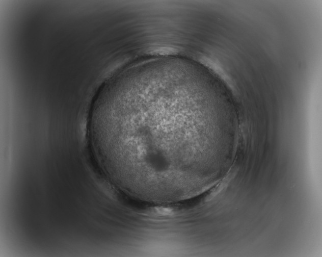 X0000088670159200706141342