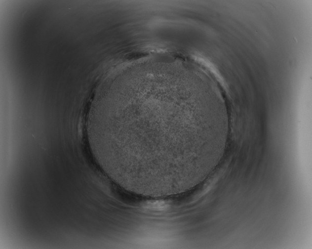 X0000088670161200706141342