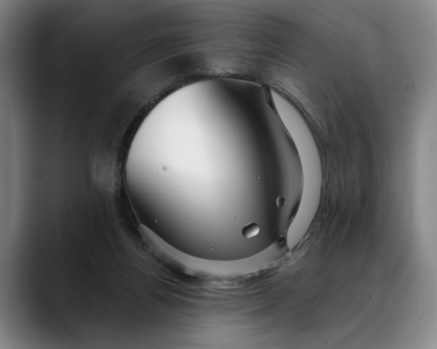 X0000088670164200706141342