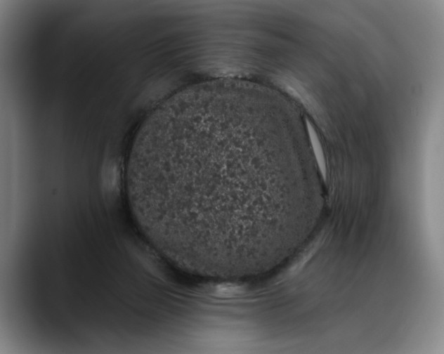 X0000088670165200706141342