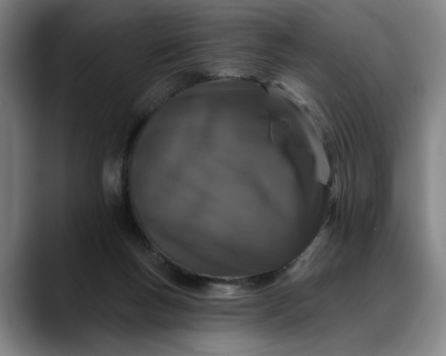 X0000088670167200706141342