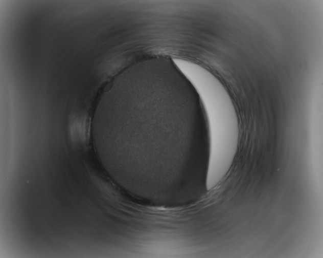 X0000088670168200706141342