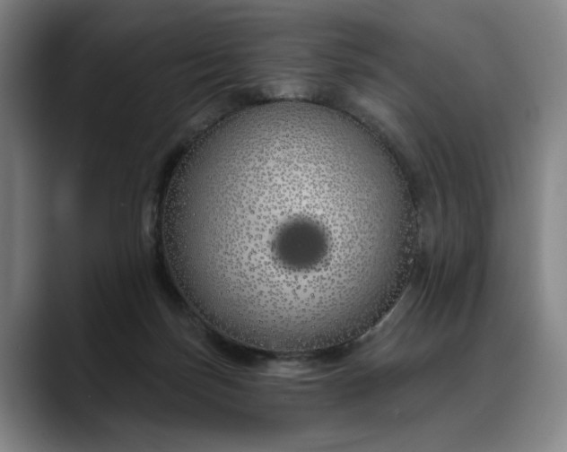 X0000088670171200706141342