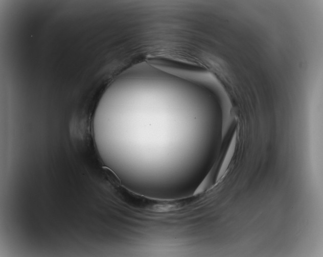 X0000088670172200706141342