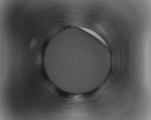X0000088670173200706141342