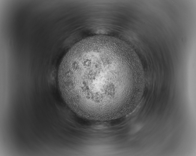 X0000088670175200706141342