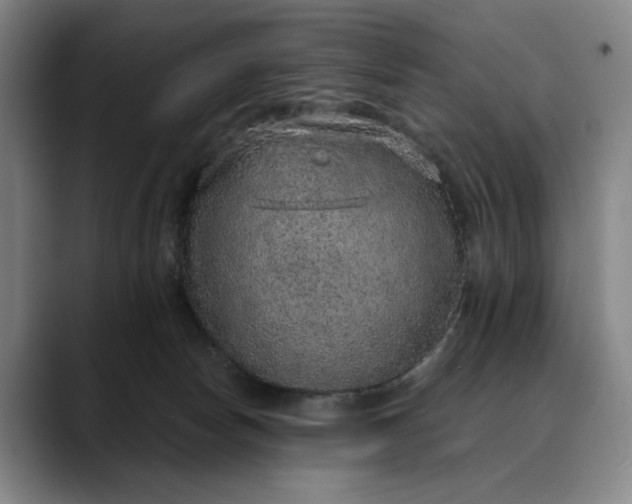 X0000088670178200706141343