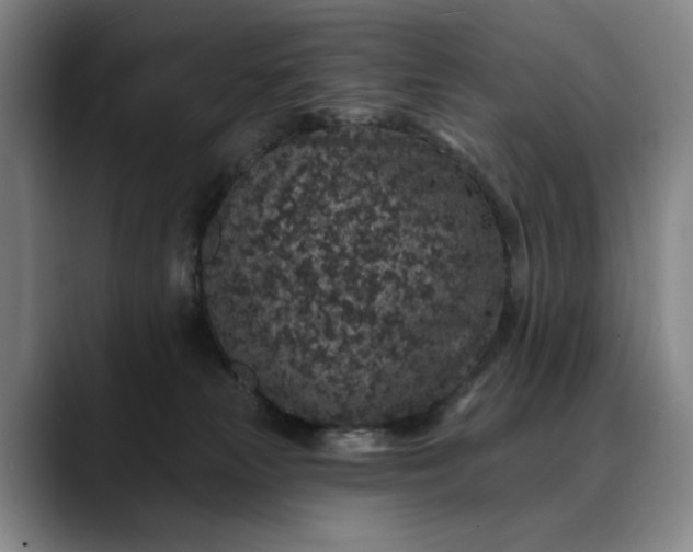 X0000088670181200706141343
