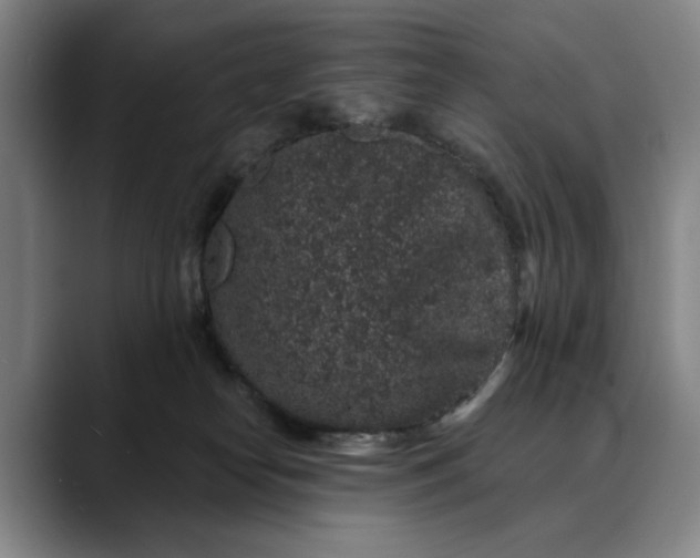 X0000088670182200706141343
