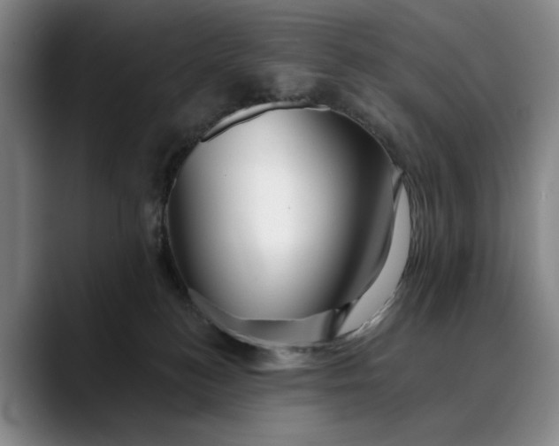 X0000088670184200706141343