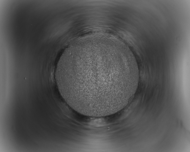 X0000088670185200706141343