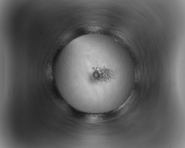 X0000088670187200706141343