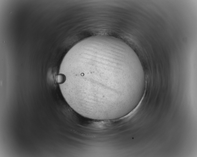 X0000088670190200706141343