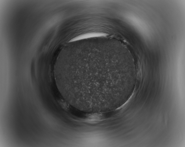 X0000088670191200706141343
