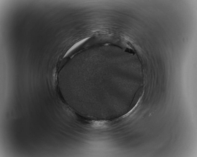 X0000088670192200706141343
