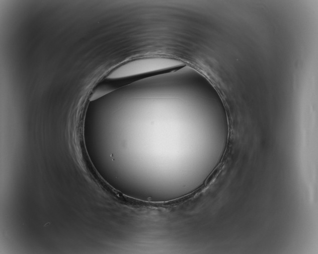 X0000088670193200706141342