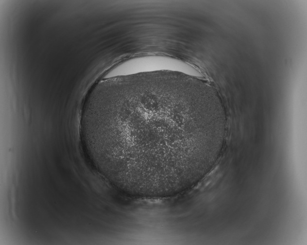 X0000088670194200706141342